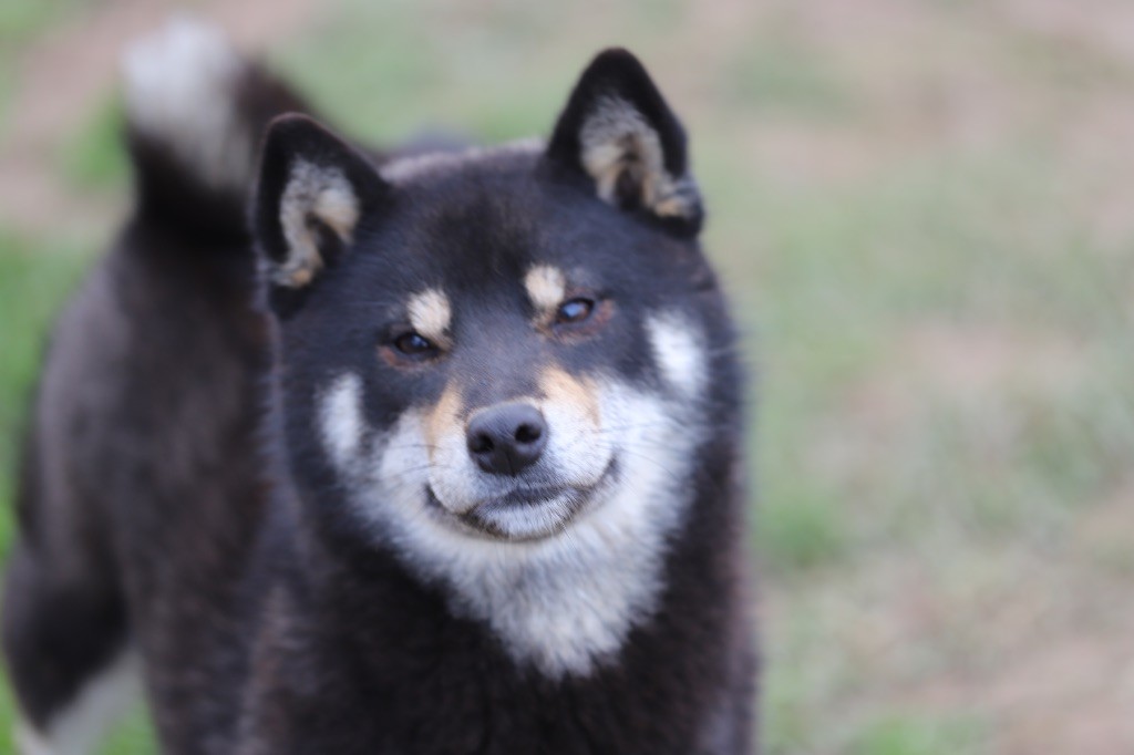 Agathe go Au Domaine D’Osaki