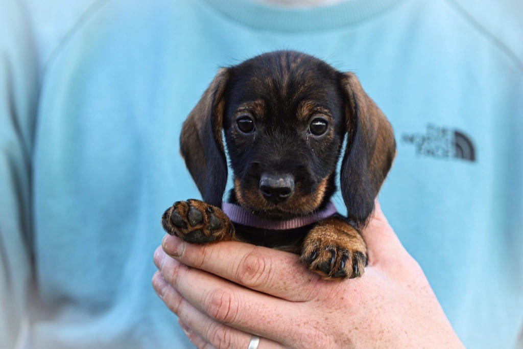 Annette Au Domaine D’Osaki